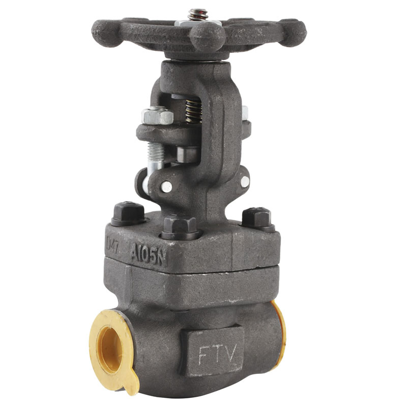 Forged Steel SW and NPT Gate Valve