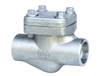 Forged Steel SW-NPT Swing Check Valve