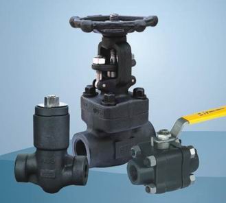 Forged Steel SW and NPT Globe Valve