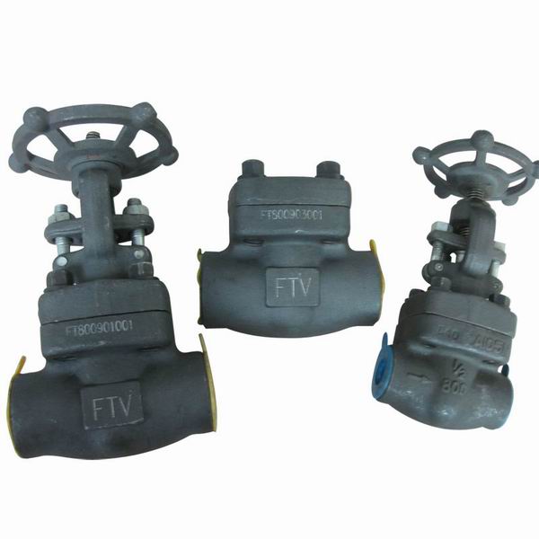 Forged Steel SW and NPT Gate Valve